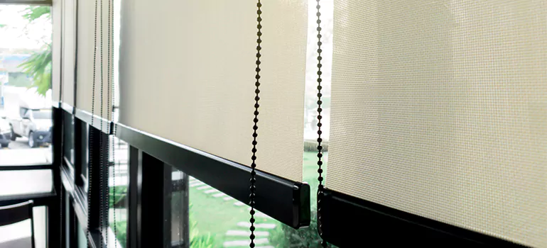 Blackout Window Shades in San Bruno, CA