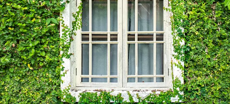Garden Window Repair Near Me in San Bruno, CA