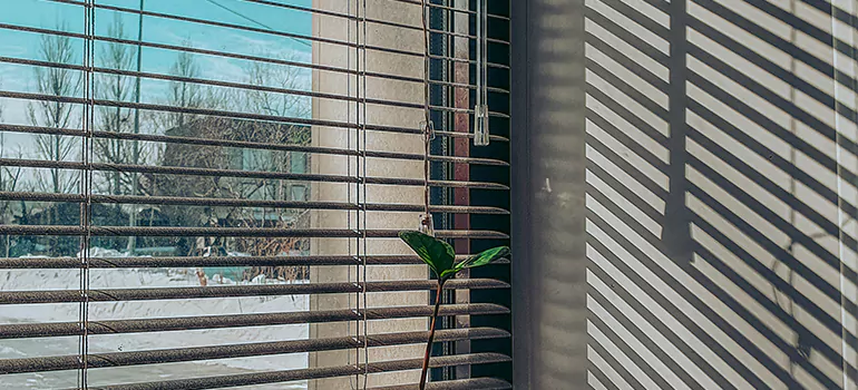 Commercial Window Blinds in San Bruno, CA
