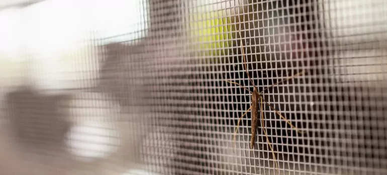 Repair Mosquito Mesh For Windows in San Bruno, CA