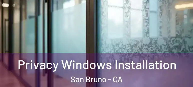  Privacy Windows Installation San Bruno - CA