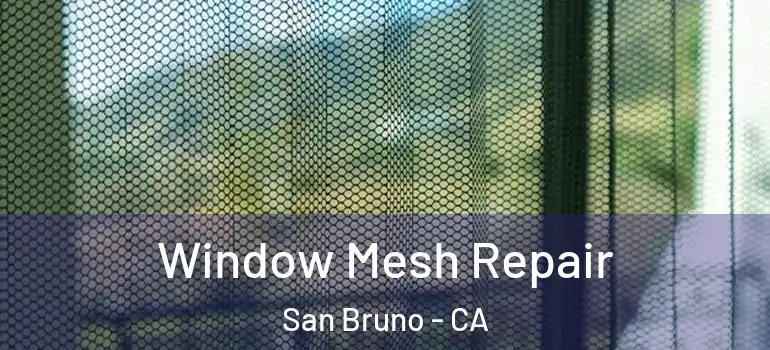  Window Mesh Repair San Bruno - CA