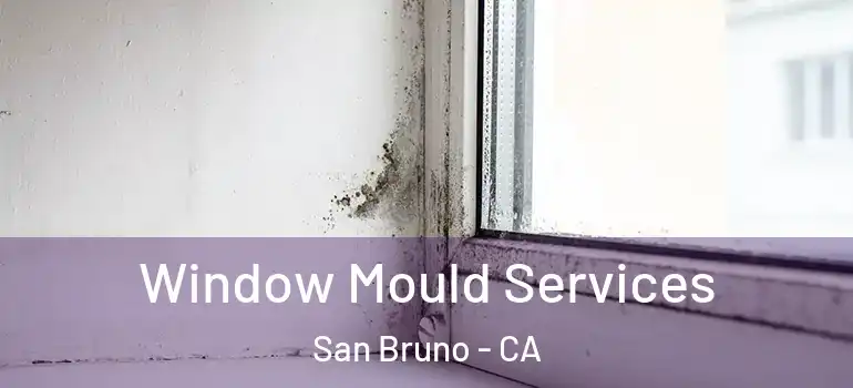  Window Mould Services San Bruno - CA